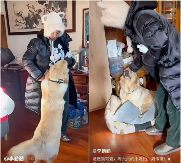 周海媚：从巅峰到永恒，她的故事如何震撼娱乐圈？