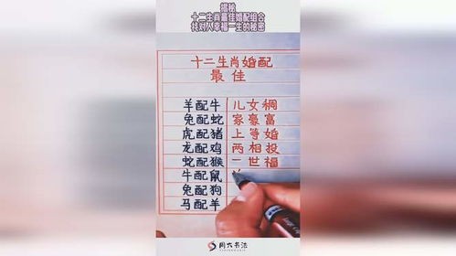 生肖星座婚配指南:揭秘血型与婚姻的神秘联系