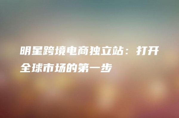 明星跨境电商独立站：打开全球市场的第一步