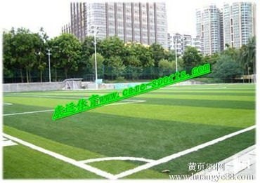 球星退役建足球场（足球明星退役）