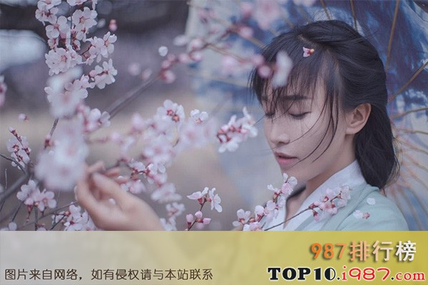 十大最火网红之李子柒