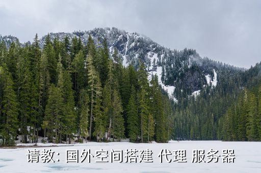 国外免费代理服务器,国外代理服务器app