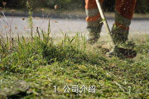 1. 公司介绍