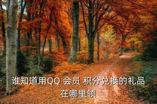 qq会员积分,QQ会员积分会过期吗