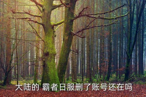 霸者大陆,赤壁霸者大陆