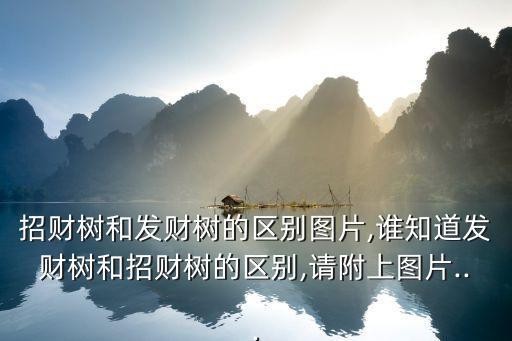招财进宝树