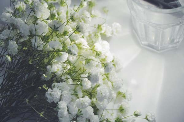 明星的婚礼布置喜欢用什么鲜花？
