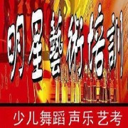 朔州市明星艺术学校