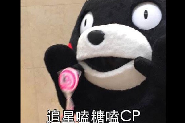 唯粉磕cp还是唯粉吗 唯粉和cp粉是什么意思
