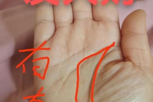 注定闪耀：揭秘手相中的明星命格