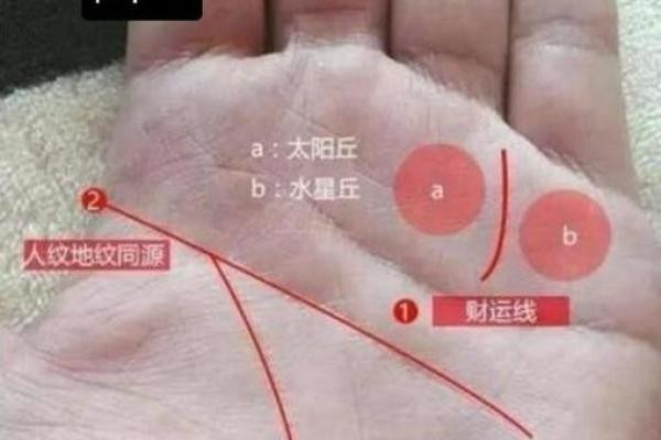 注定闪耀：揭秘手相中的明星命格