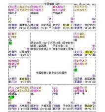 紫微斗数揭秘:生肖星座助力事业巅峰