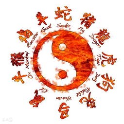 生肖与星座：揭秘十二生肖的神秘星象运势！