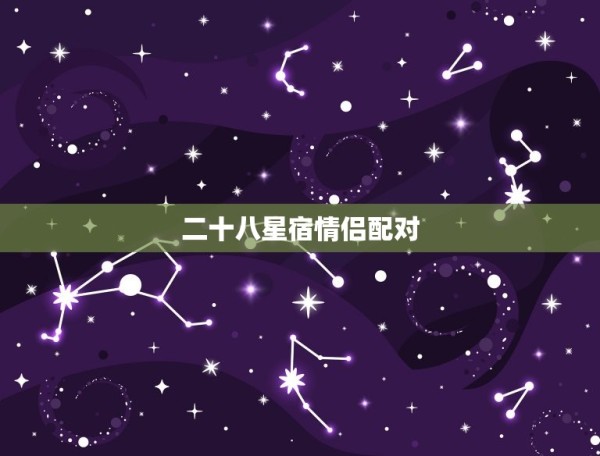 二十八星宿情侣配对，夫妻更好的星宿关系 第1张