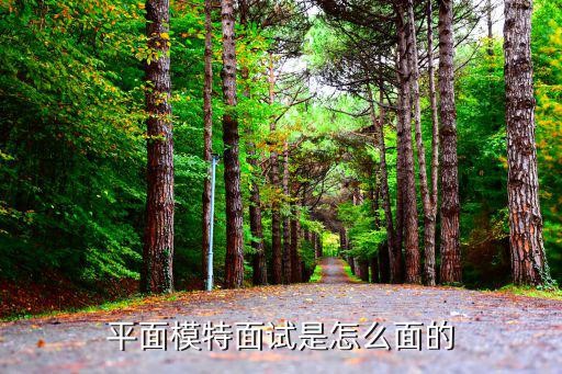 平面模特面试是怎么面的
