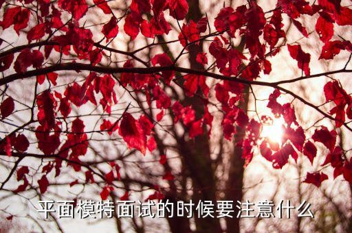 平面模特面试的时候要注意什么