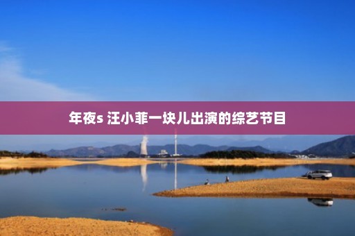 年夜s 汪小菲一块儿出演的综艺节目