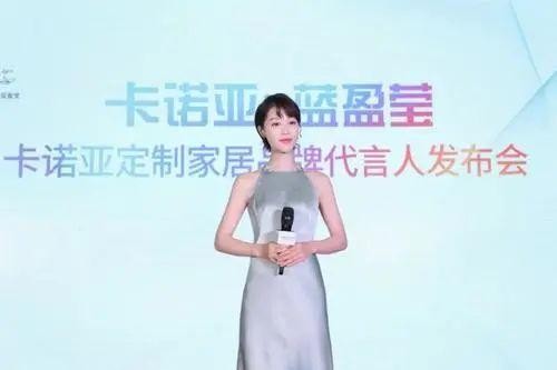 定制家居代言人