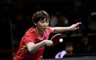 王曼昱以4-0战胜张本美和，世乒赛女单四强诞生！