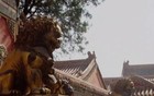 形势严峻了，这是给普通人的13个忠告