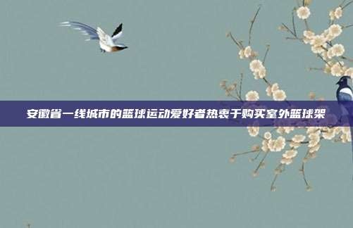安徽省一线城市的篮球运动爱好者热衷于购买室外篮球架