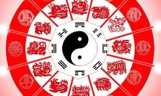 生肖星座特质解析:揭秘你的专属运势密码