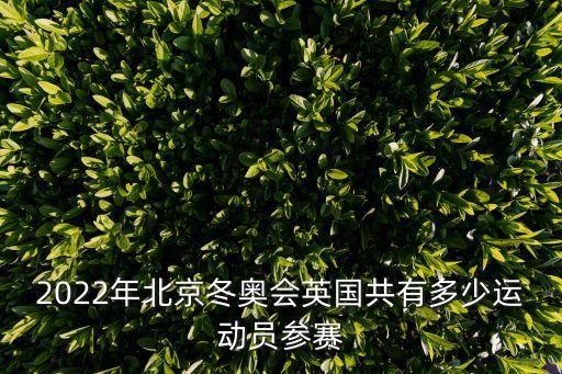 2022年北京冬奥会英国共有多少运动员参赛