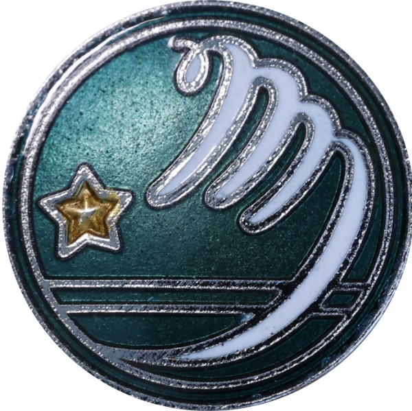中学校 緑