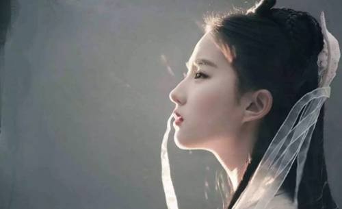 盘点6大华人明星进占好莱坞，甄子丹刘亦菲上榜，首榜只有她