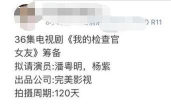 杨紫持续发力, 接下来将有多部新剧上映。