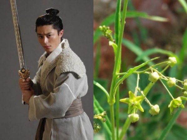 《仙剑奇侠传3》所有主角的名字都是植物，你都知道吗？