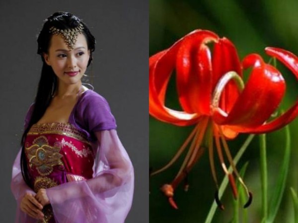 《仙剑奇侠传3》所有主角的名字都是植物，你都知道吗？