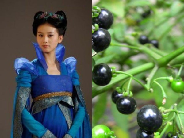 《仙剑奇侠传3》所有主角的名字都是植物，你都知道吗？