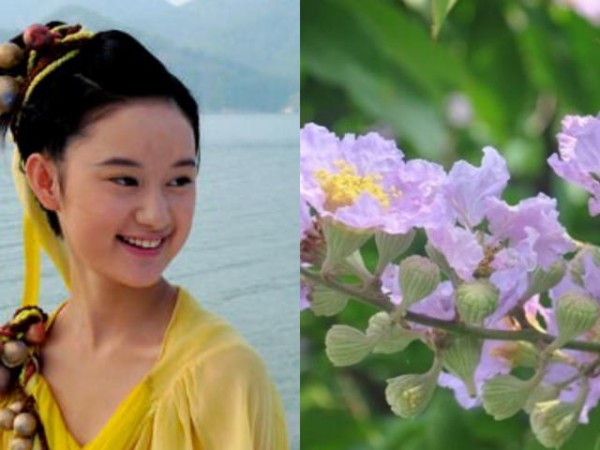 《仙剑奇侠传3》所有主角的名字都是植物，你都知道吗？