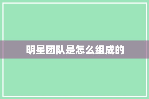 明星团队是怎么组成的