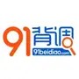 91背调