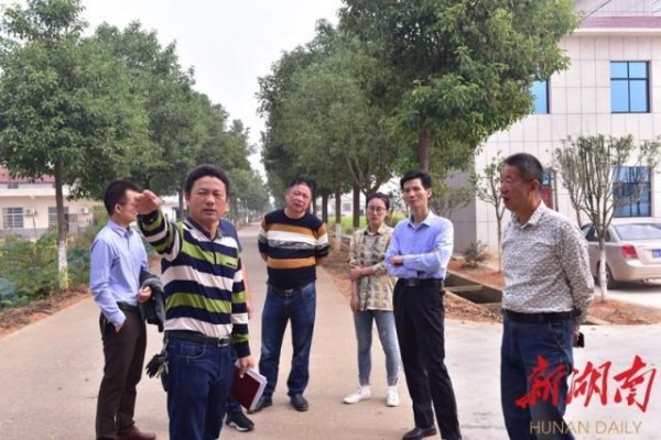 屈原管理区委统战部：扎实开展主题教育调研