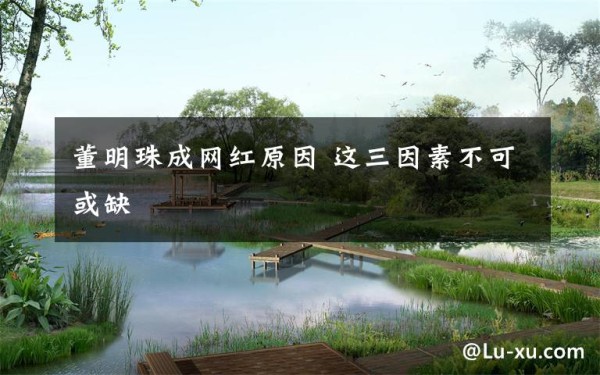 董明珠成网红原因 这三因素不可或缺文章配图