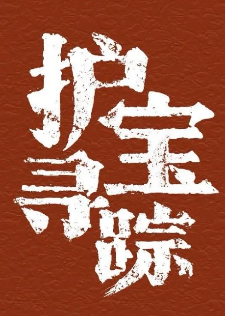 护宝寻踪