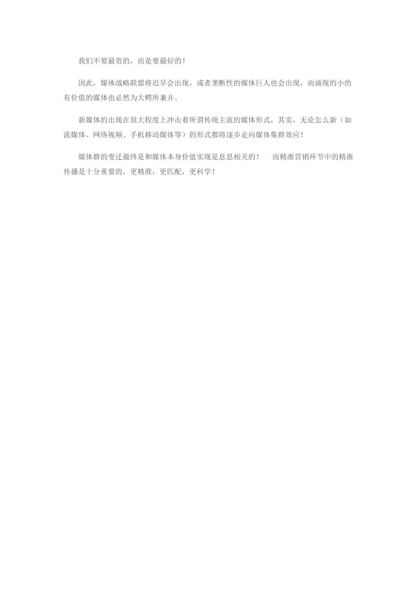 媒体群和媒体圈策略.doc_第2页