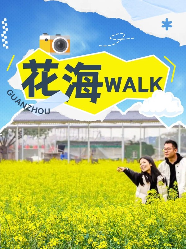 花城浪漫时刻到了，广州乡村walk“追花地图”上线