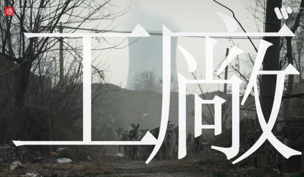 银发经济崛起、“刀郎”成顶流，音综2024集体“哑火”？_银发经济崛起、“刀郎”成顶流，音综2024集体“哑火”？_