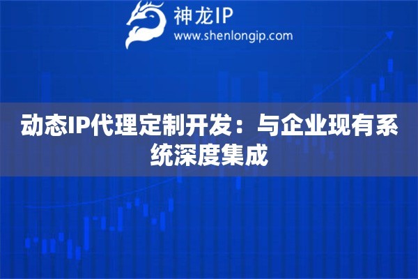 动态IP代理定制开发：与企业现有系统深度集成