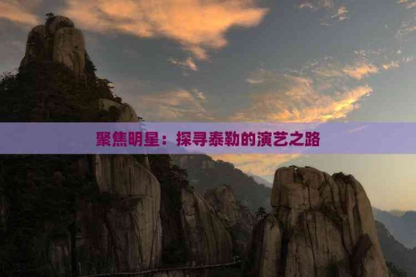 聚焦明星：探寻泰勒的演艺之路