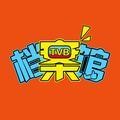 TVB档案馆头像