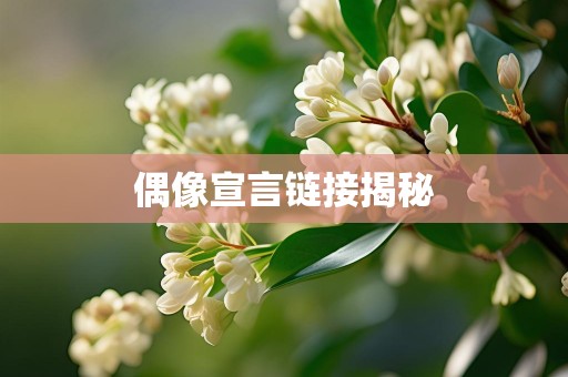 偶像宣言链接揭秘