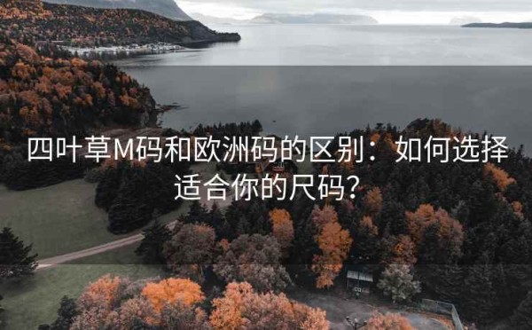 四叶草M码和欧洲码的区别：如何选择适合你的尺码？