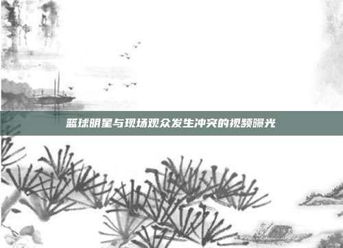 篮球明星与现场观众发生冲突的视频曝光