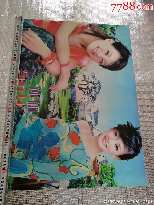 早期明星挂画图片