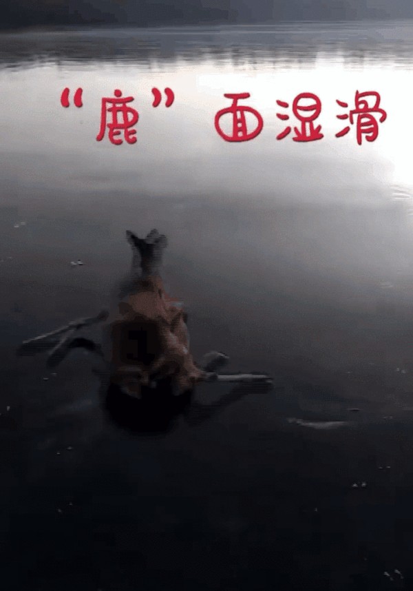 明星夫妻多开放？霍思燕杜江开视频，却意外曝光了床上私人物品
